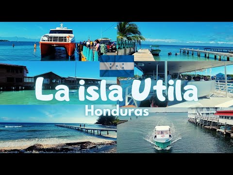 🥏Utila Island, Honduras! Tour
