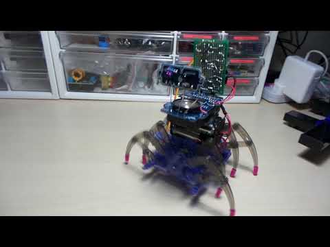 SpiderBot