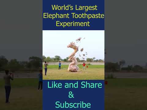 World's biggest Elephant toothpaste #shorts #short #shortvideo
