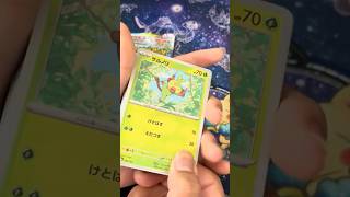 カドボオープン記念 テラスタルフェス 5p