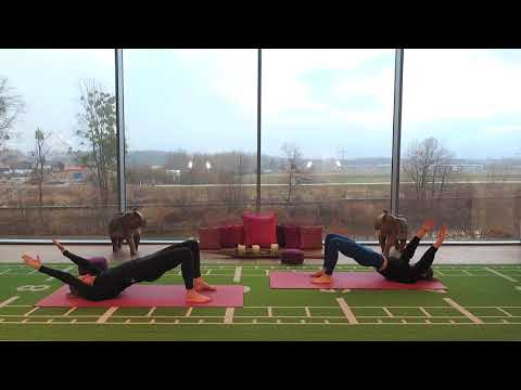 YOGA FÜR ANFÄNGER mit Johanna & Chrissi - ONLINE KURSE - ONLINE FITNESS