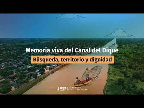 Video 4