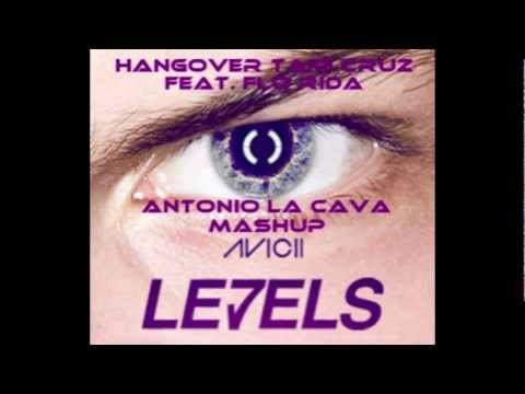 Antonio La Cava Mashup - Levels Avicii vs Hangover Taio Cruz feat Flo Rida