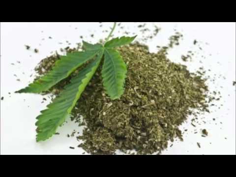 Ignac PWN-Palcie Tylko Czyste