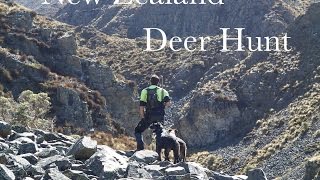 preview picture of video 'Red Deer Hunt South Island New Zealand'