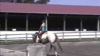 preview picture of video 'JAS Huricane Hazel, Appaloosa sport SOLD'