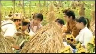 [問卦] 不知道哪天,才能跟女友去看向日葵?