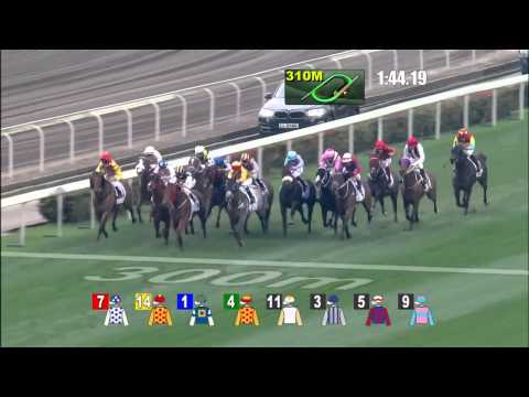 2015 BMW Hong Kong Derby (HK Group 1)