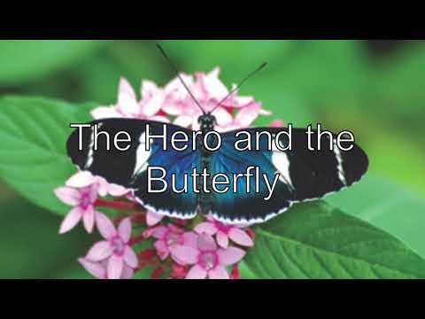 The Garden Sessions 2021  9. The Hero and the Butterfly