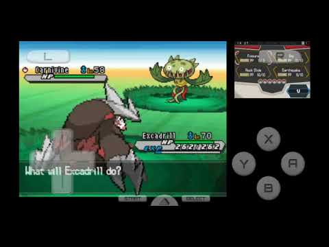 Route 18 Hidden Grotto: How to Get Rare Chatot, Dragonite, Corsola and Kingler in Pokemon B2/W2