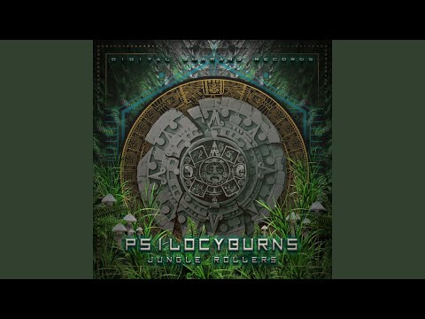 Funglburns (Original Mix)