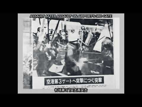 Last Days Of S.E.X. - Zengakuren [HANDS D245]