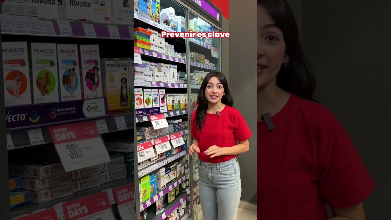 Aumento de parásitos por verano ¿Qué antiparasitarios usar?