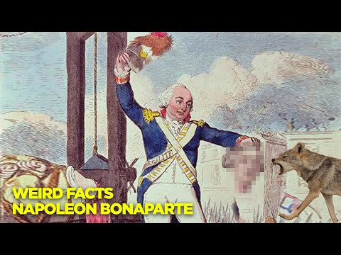 Weird Things You Didn't Know about Napoleon Bonaparte