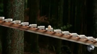 Gravity Powered Xylophone | Outrageous Acts of Science