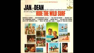 Jan &amp; Dean - She&#39;s My Summer Girl (24-bit Linear PCM upload)