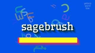 How to say "sagebrush"! (High Quality Voices)