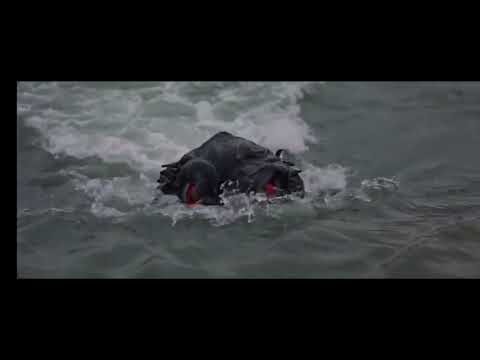 Godzilla vs The Smog Monster (1971) - Hedorah Aquatic Stage screentime