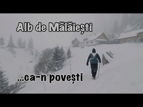 Cel mai sigur traseu de iarnă spre cabana Mălăiești - Bucegii în ceață și o ninsoare "ca-n povești"