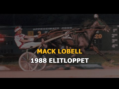 1988 Elitloppet -  Mack Lobell