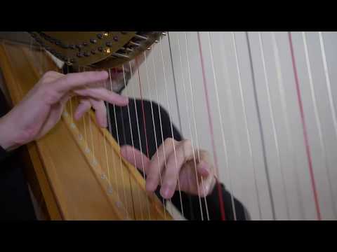 Lots of fast notes! :) From the Moldau, Slow Motion Monday ep. 35