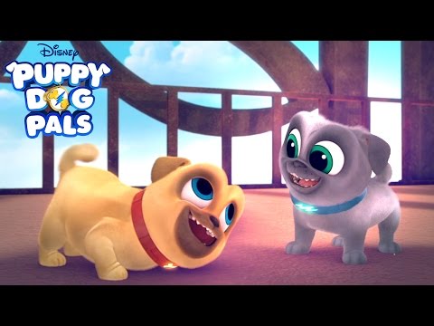 New Series! | Puppy Dog Pals | Disney Junior