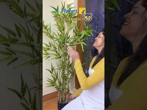 Bamboo Plant Climber Small