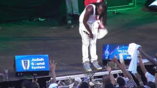 Movado Live Performance - Xtreme White - 2