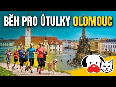 Beh pro utulky - Olomouc