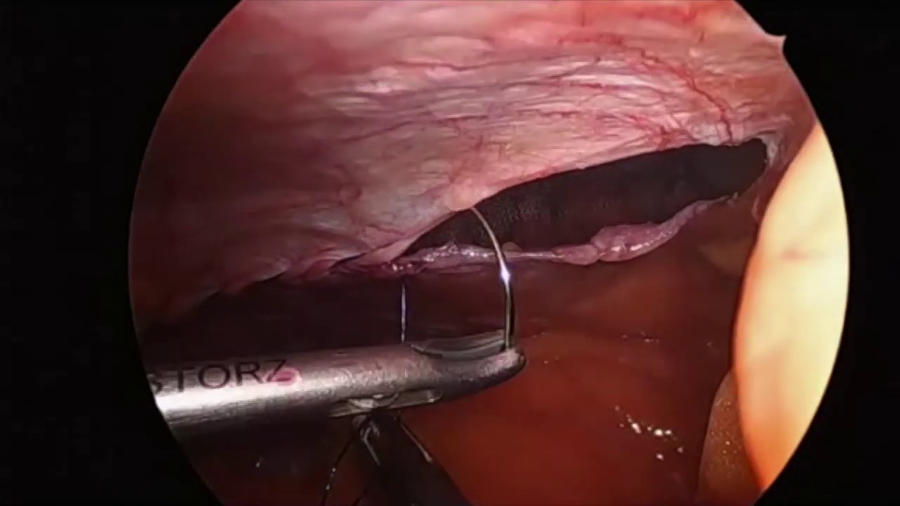 Francisco Miguel Jiménez Armenteros-20