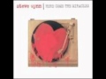 Steve Wynn - Sustain.wmv