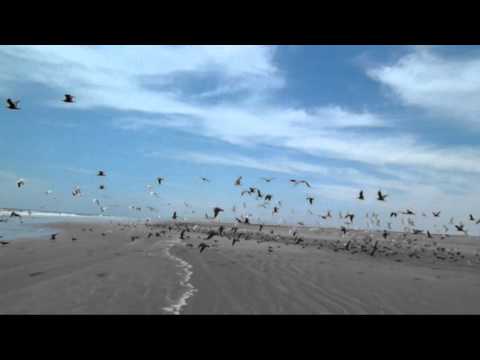 Alex Turner - Stuck On The Puzzle (Intro)