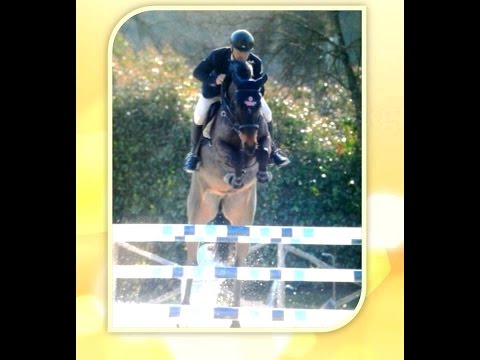 NINJA SGH fb 2012 SI (Kannan x Stakkato)