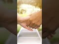 Ek Bar Sach Aur Jhuth Kahi Ja Rhe The Status Sach Aur Jhuth Emotion Shorts Viral Trending