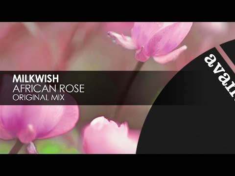 Milkwish - African Rose [Avanti]