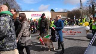 preview picture of video 'St. Patrick's Day Parade in Listowel 2013'