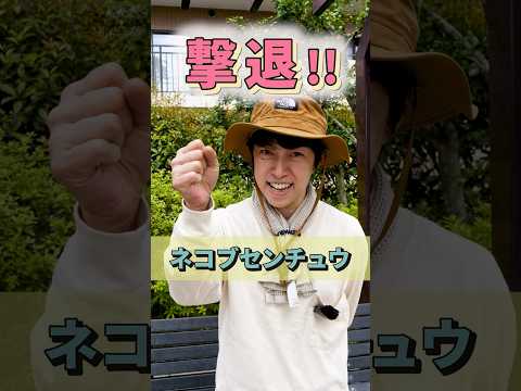 この夏の果物や野菜の発育を促進するために、菜園で木の灰をどのように使用しますか?  庭園