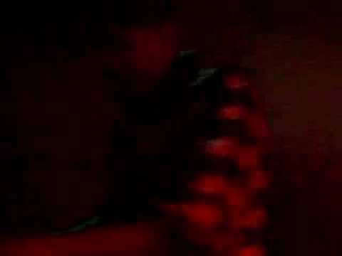 Kto DJ Plays At Club Troica