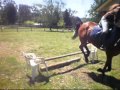 Jumping