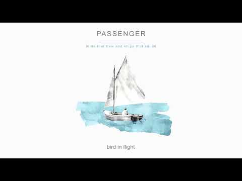 Passenger | bird in flight (Official Audio)