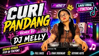 Download lagu CURI PANDANG - DJ Melly (PARTY SENTAK) REMIX 2026 mp3