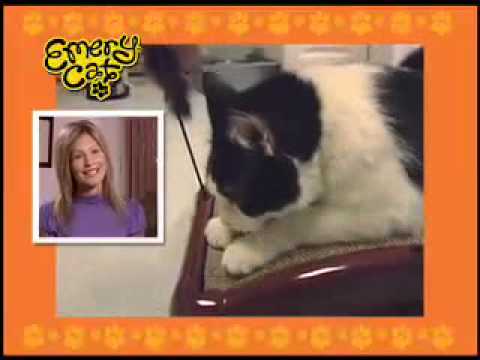 Emery Cat® Board | Official Commercial | TopTVStuff.com