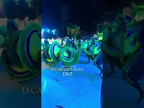 Diretamente de Belterra para alterar do chão Brasilllll.