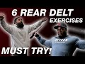 6 POSTERIOR DELT EXERCISES YOU SHOULD TRY !