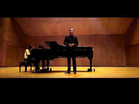 An Sylvia -  Franz Schubert