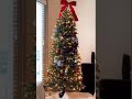 Funny Cats And Christmas Funny Fail Shortvideo Catshorts Catshorts Cats Shorts Short