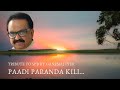 Paadi Paranthakili From The Movie Kizhakku Vaasal