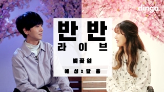 예성 X 달총 - 벚꽃잎 [반반라이브] LIVE