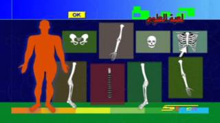 ألعاب الحاسوب - سبيس تون | Spacetoon