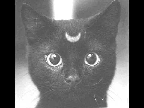 Gothica - Beats and Breaks